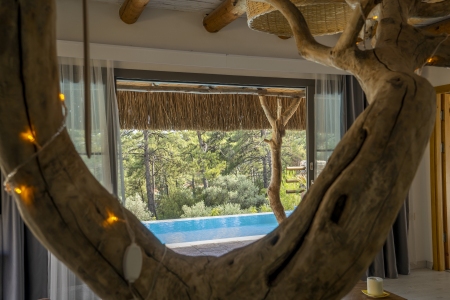 Villa Lemon